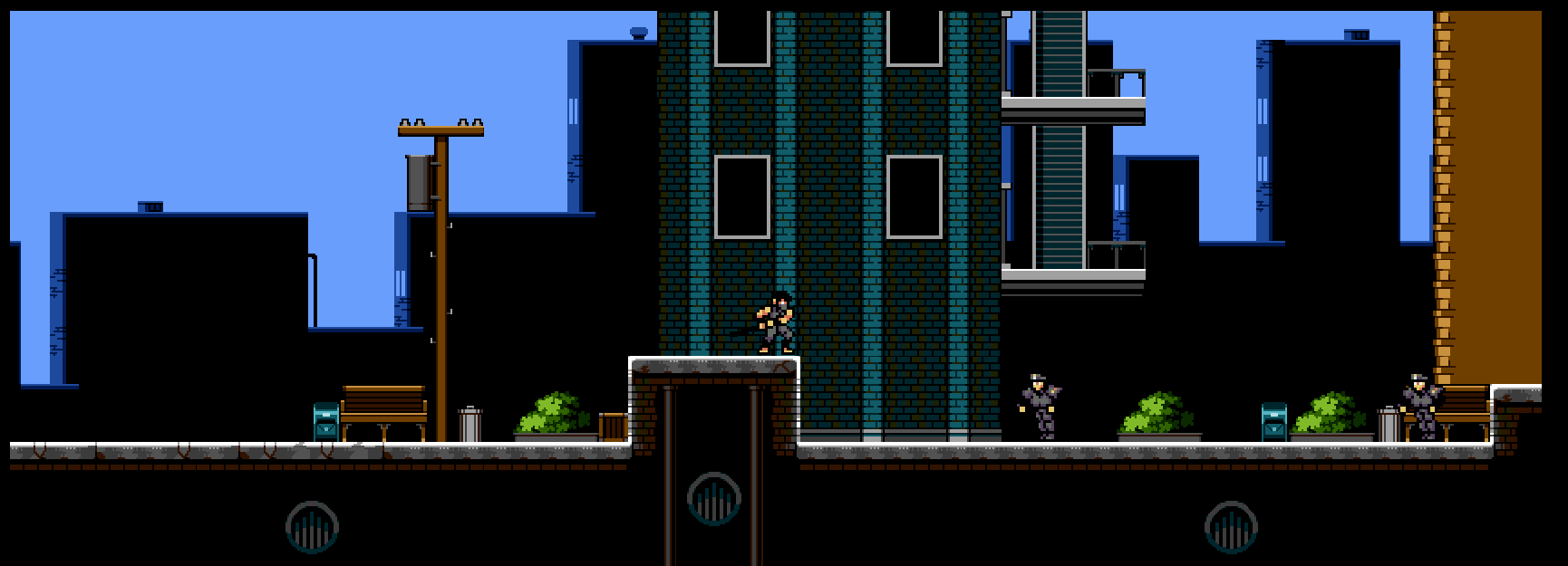 Ninja Hero Platformer
