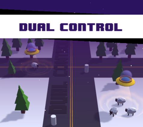 Dual Control Racing
