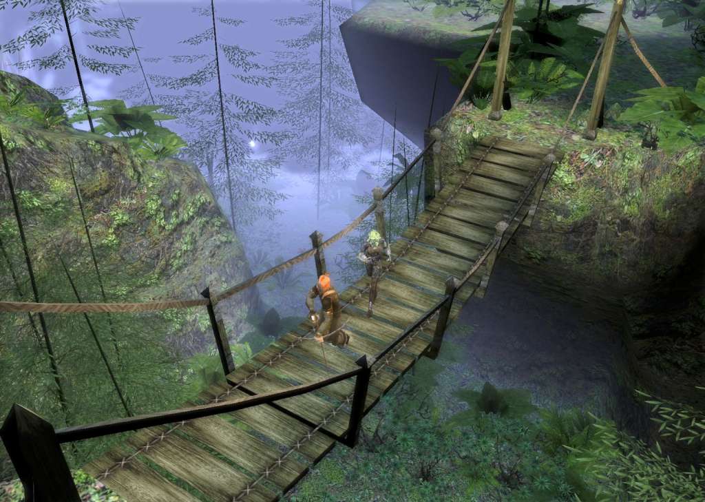 Dungeon Siege II PC Steam CD Key screenshot 1