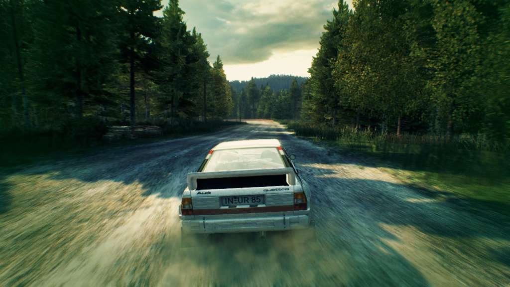 DiRT 3 PC Steam CD Key screenshot 1