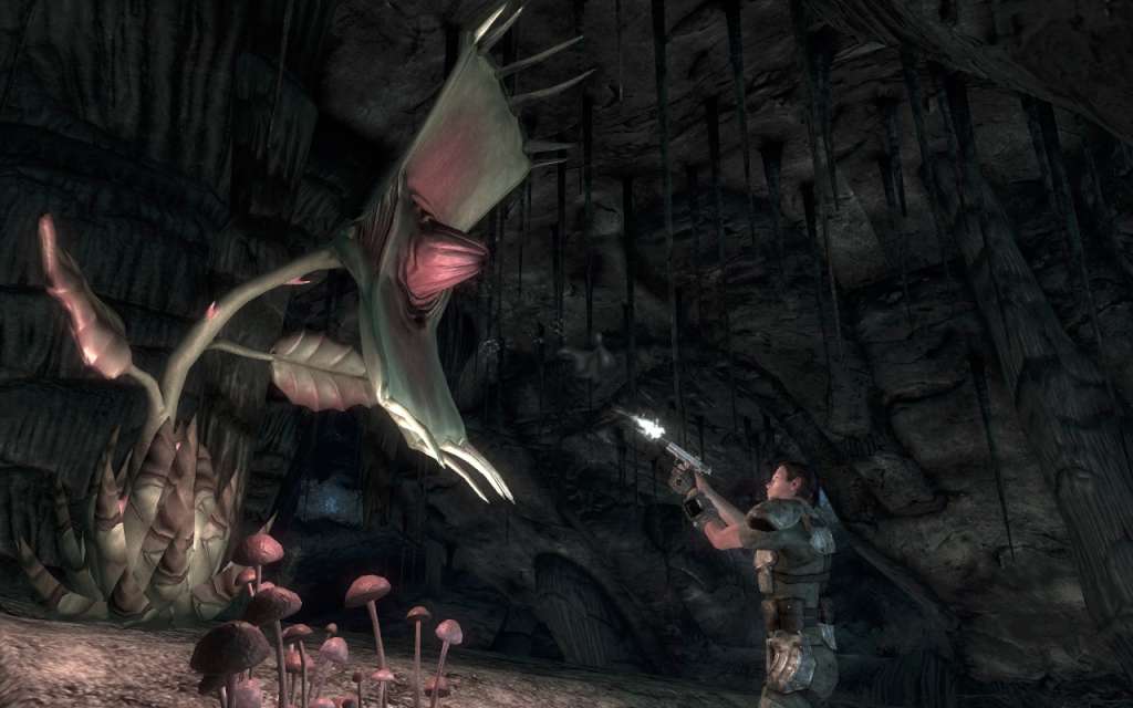 Fallout: New Vegas Ultimate Edition PC Steam CD Key screenshot 1