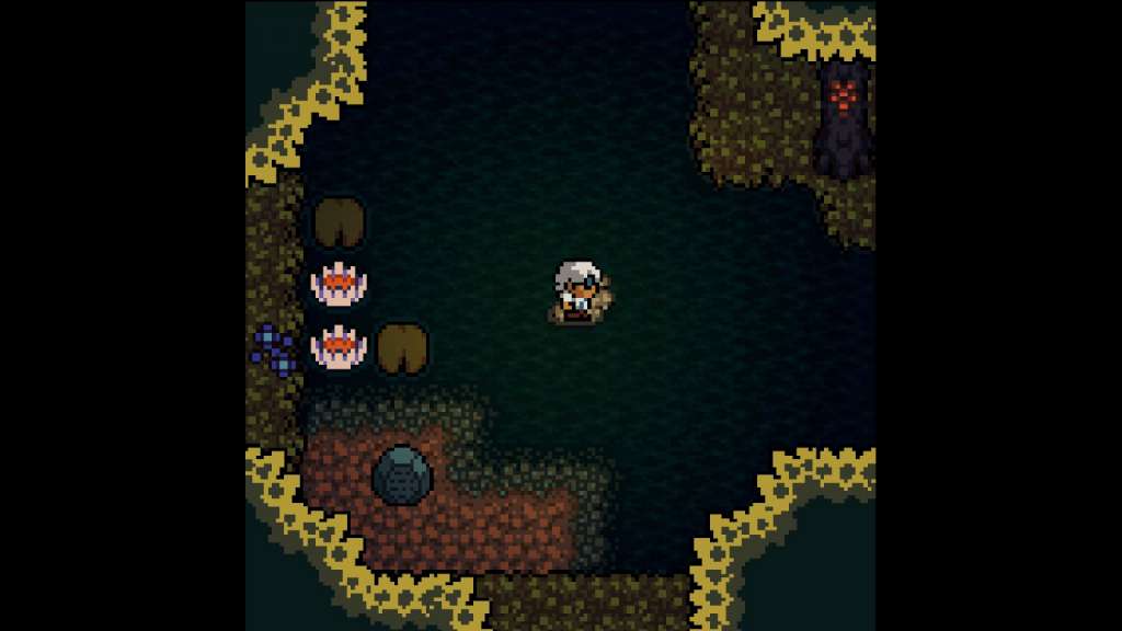 Anodyne PC Steam CD Key screenshot 1